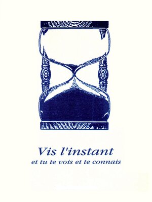 cover image of Vis l'instant